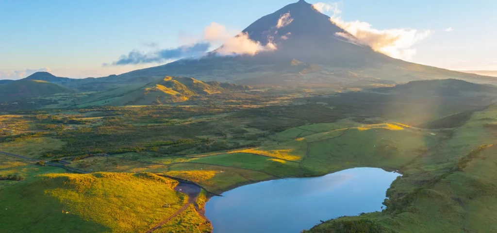 Pico